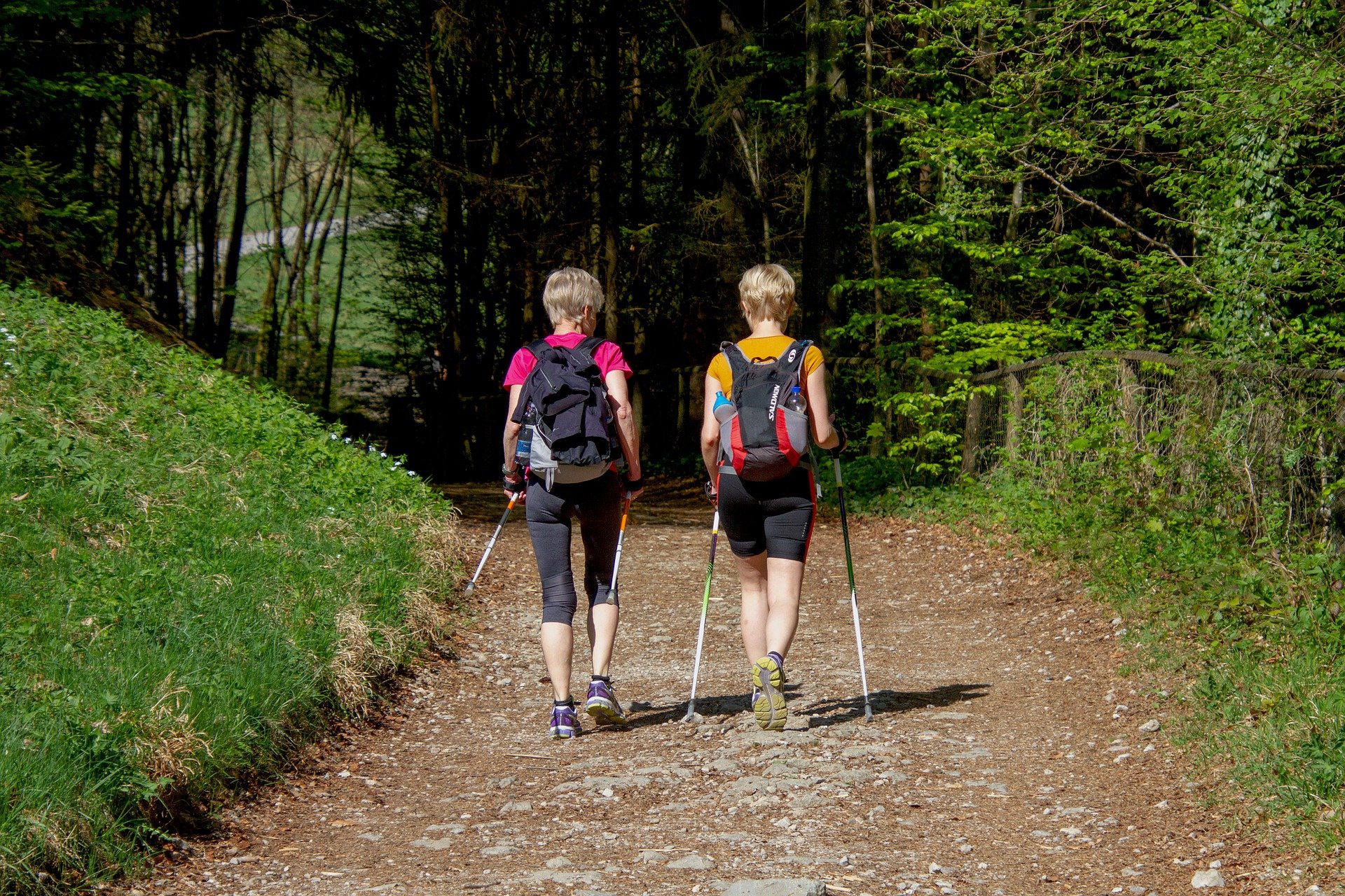 Nordic Walking – czym różni się od standardowego spacerowania?