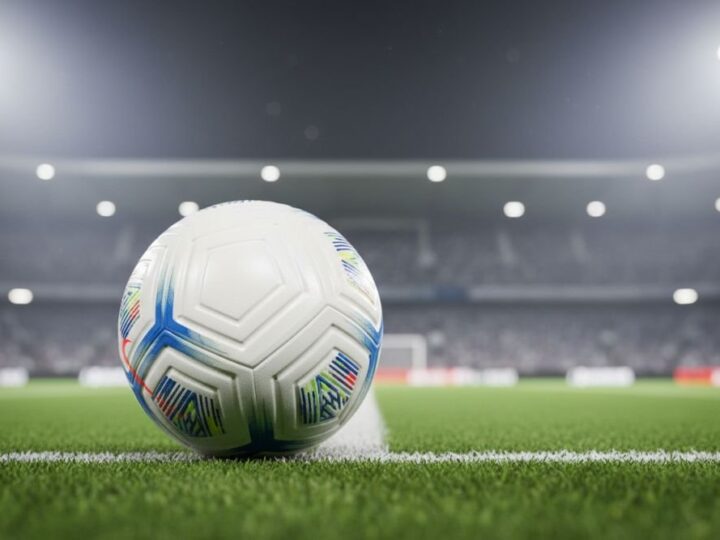 Radomiak Radom – zawodnicy – charakterystyka kadry i pozycji