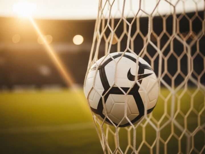 Rankingi Puszcza Niepołomice – miejsce w Polsce i Europie