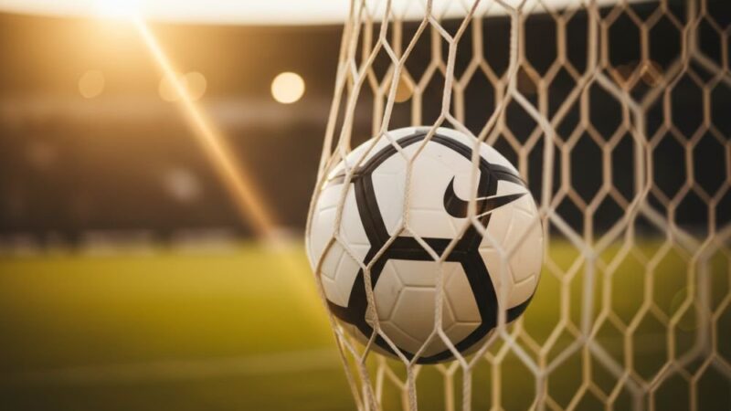 Rankingi Puszcza Niepołomice – miejsce w Polsce i Europie